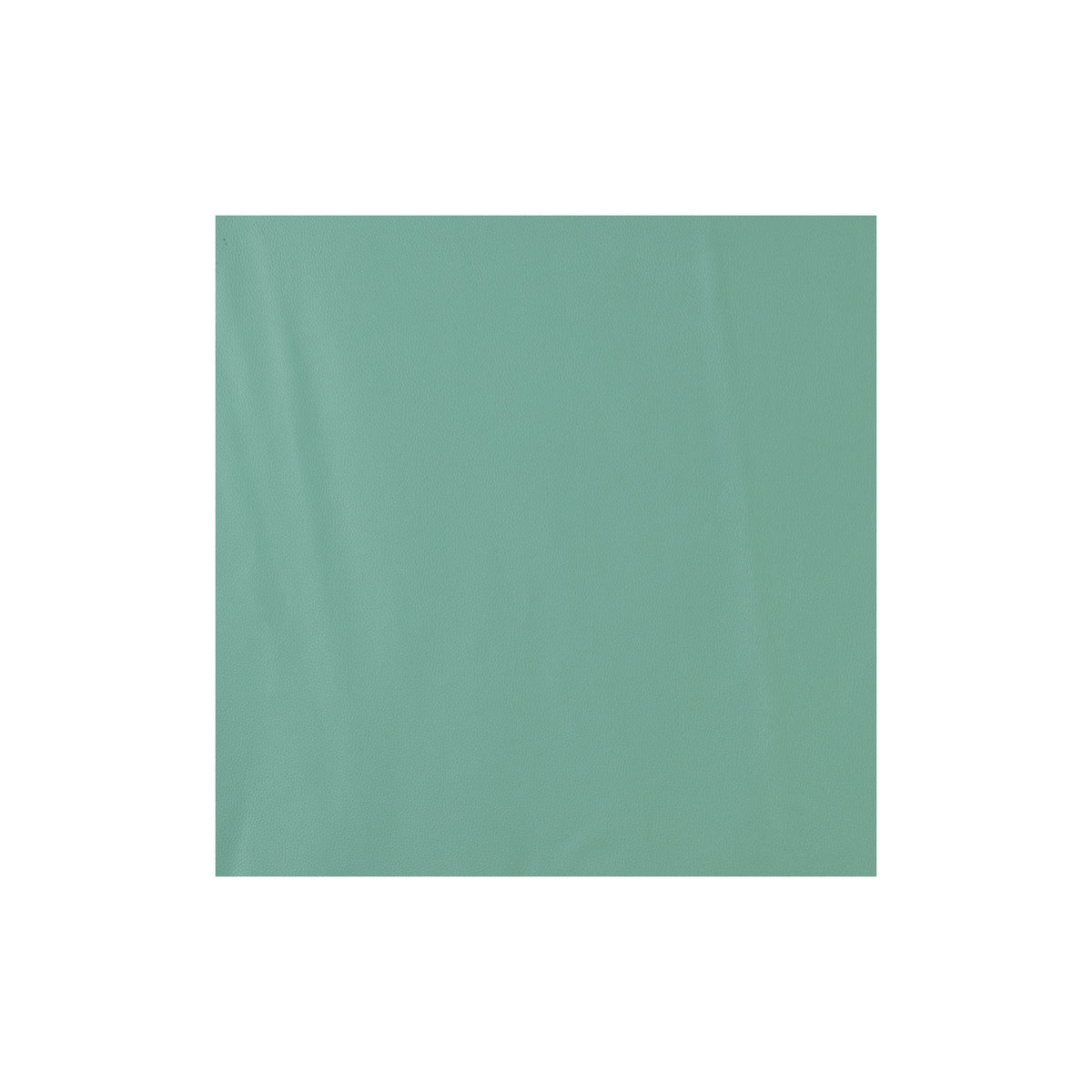 Sample, Coastal Leather, 2/3 oz.