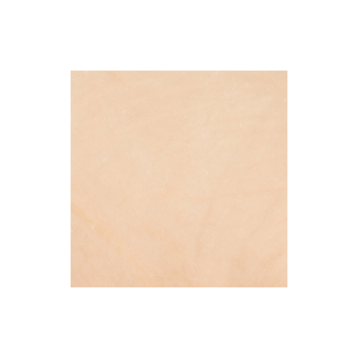 Sample, Veg Tanned Double Back with Pasted Back, 9/10 oz