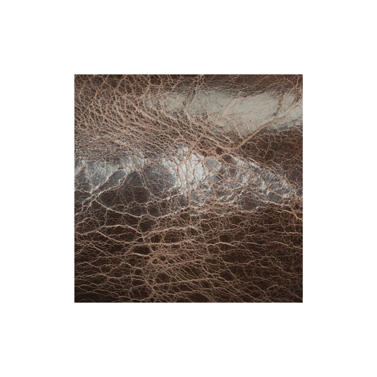 Sample, Water Buffalo Single Bends, 8/9 oz.