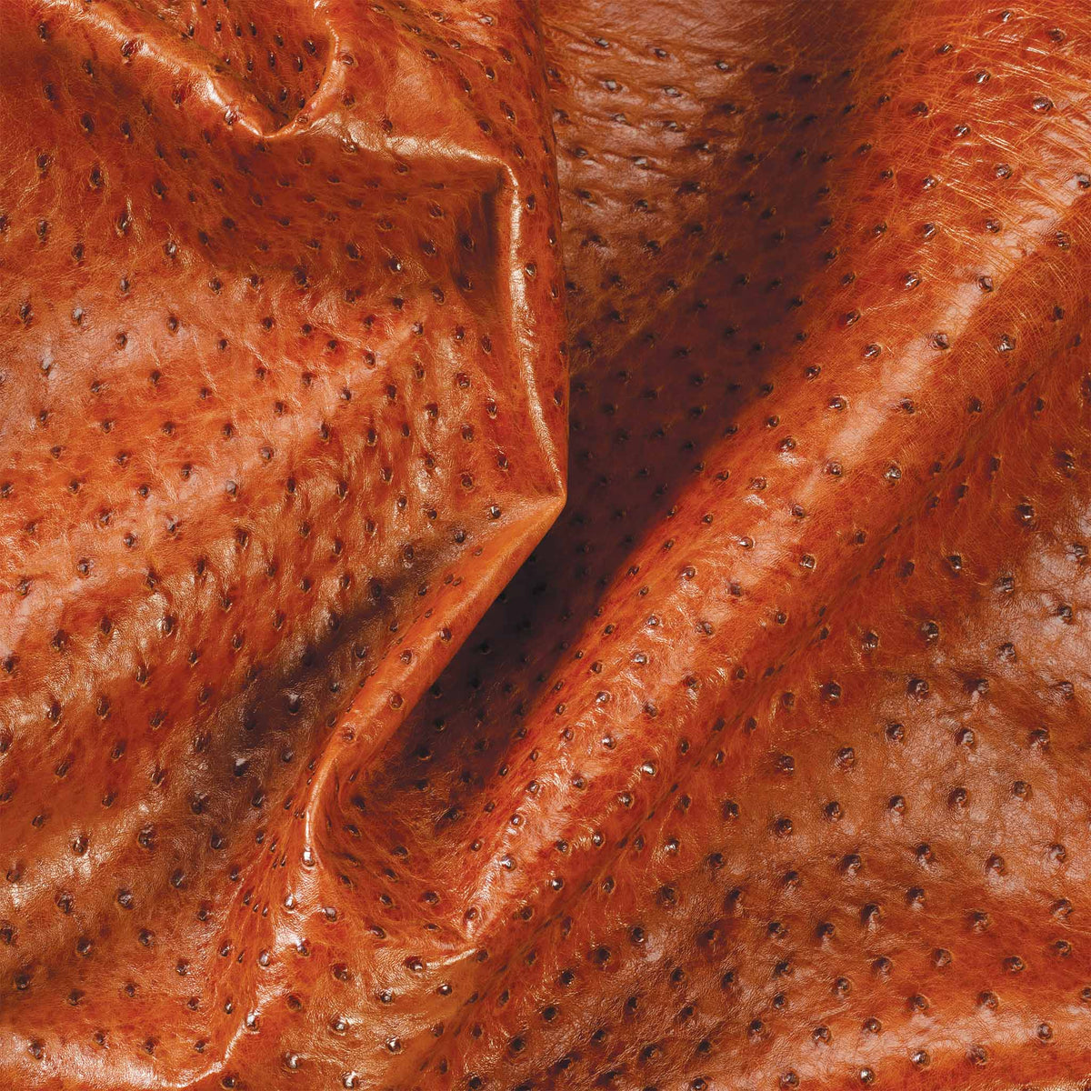 Ostrich Leather