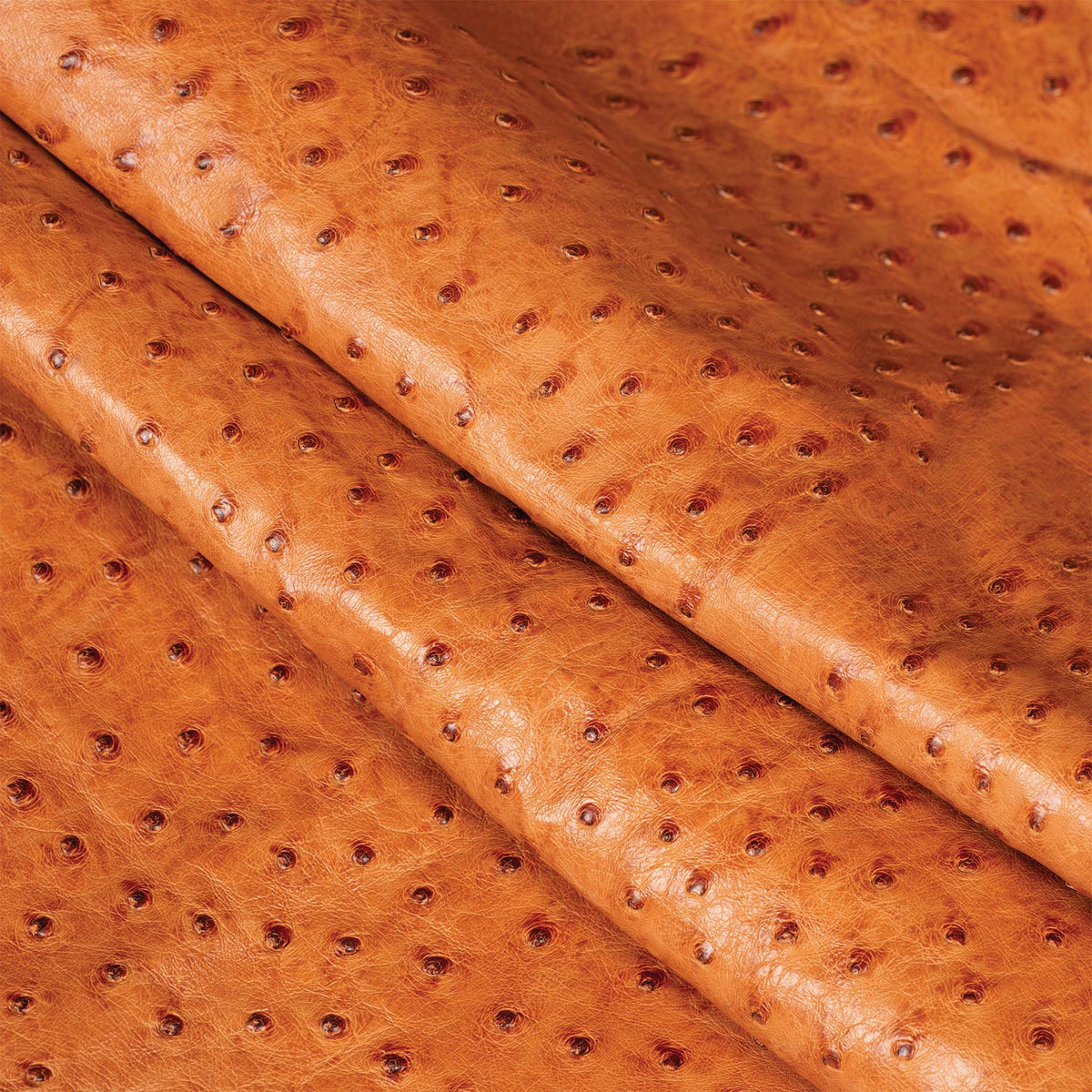 Ostrich Leather