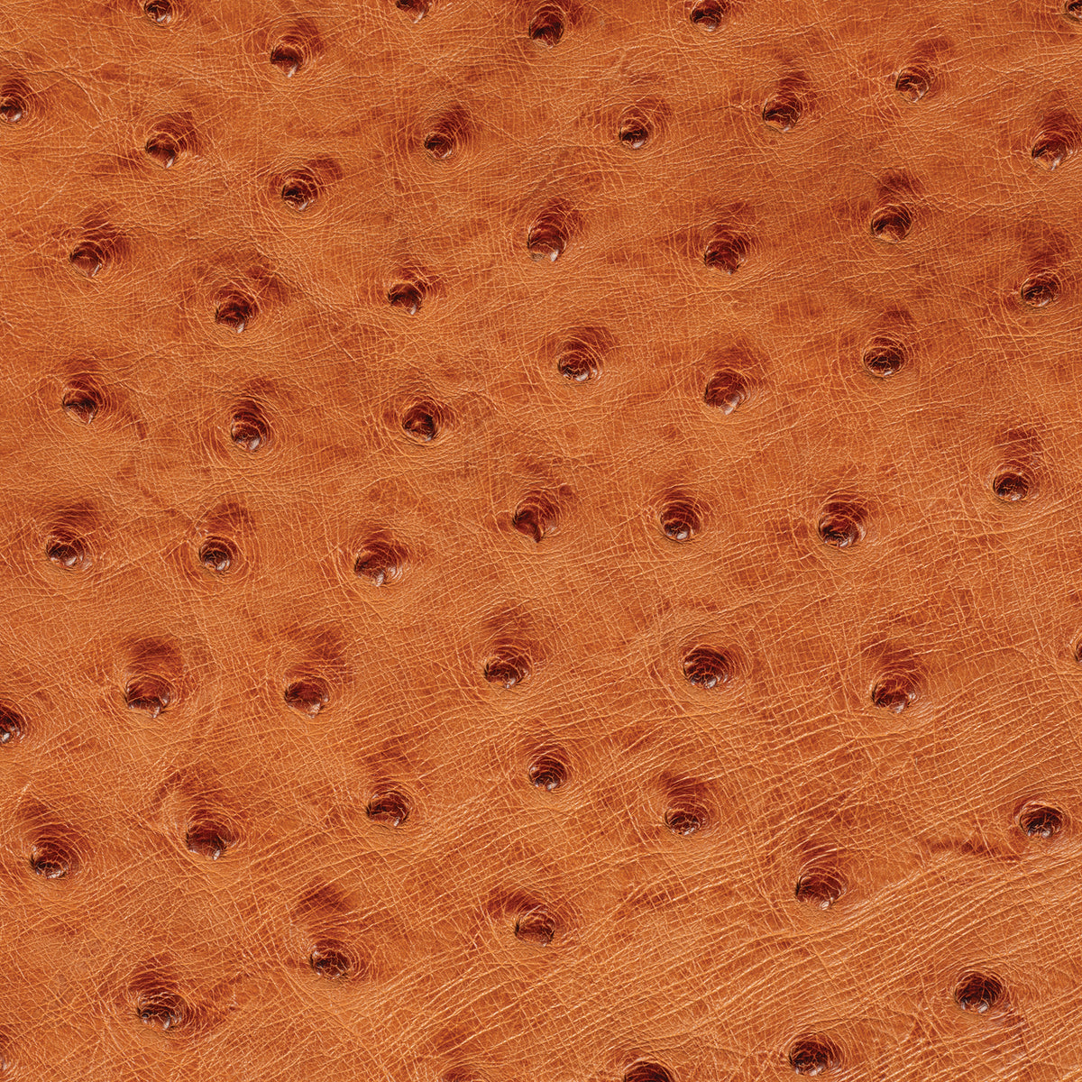 Ostrich Leather