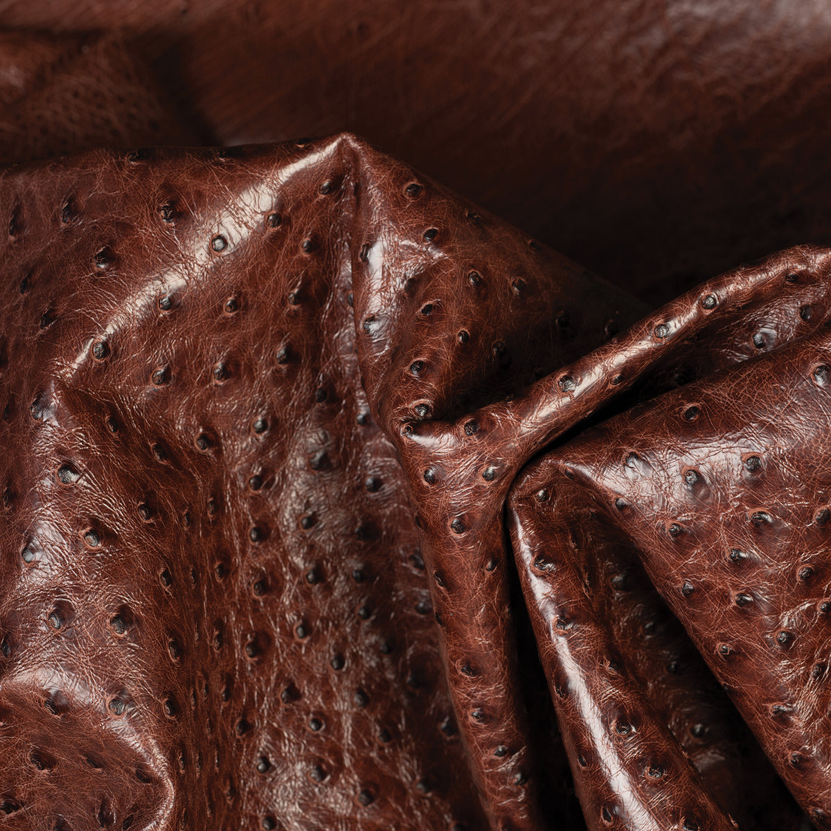 Ostrich Leather