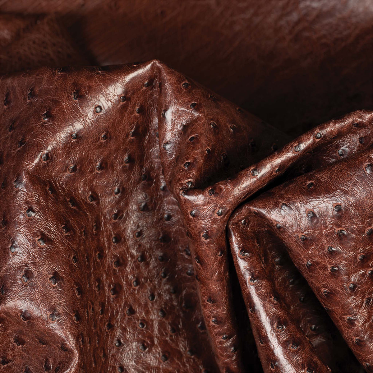 Ostrich Leather