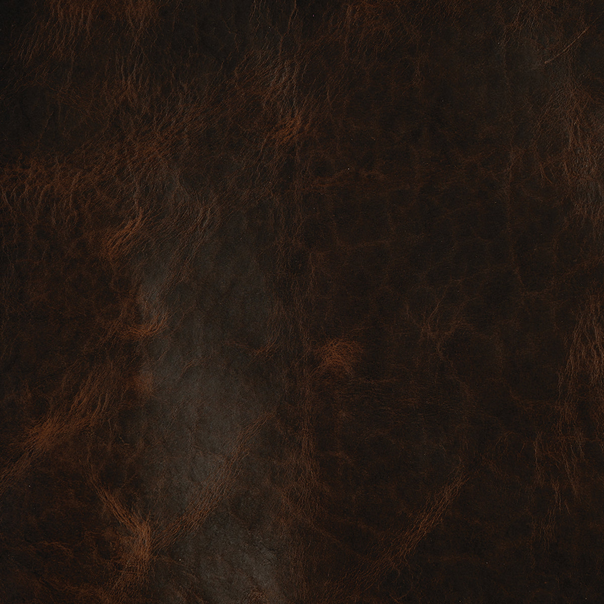 American Bison Leather, Side, Chocolate