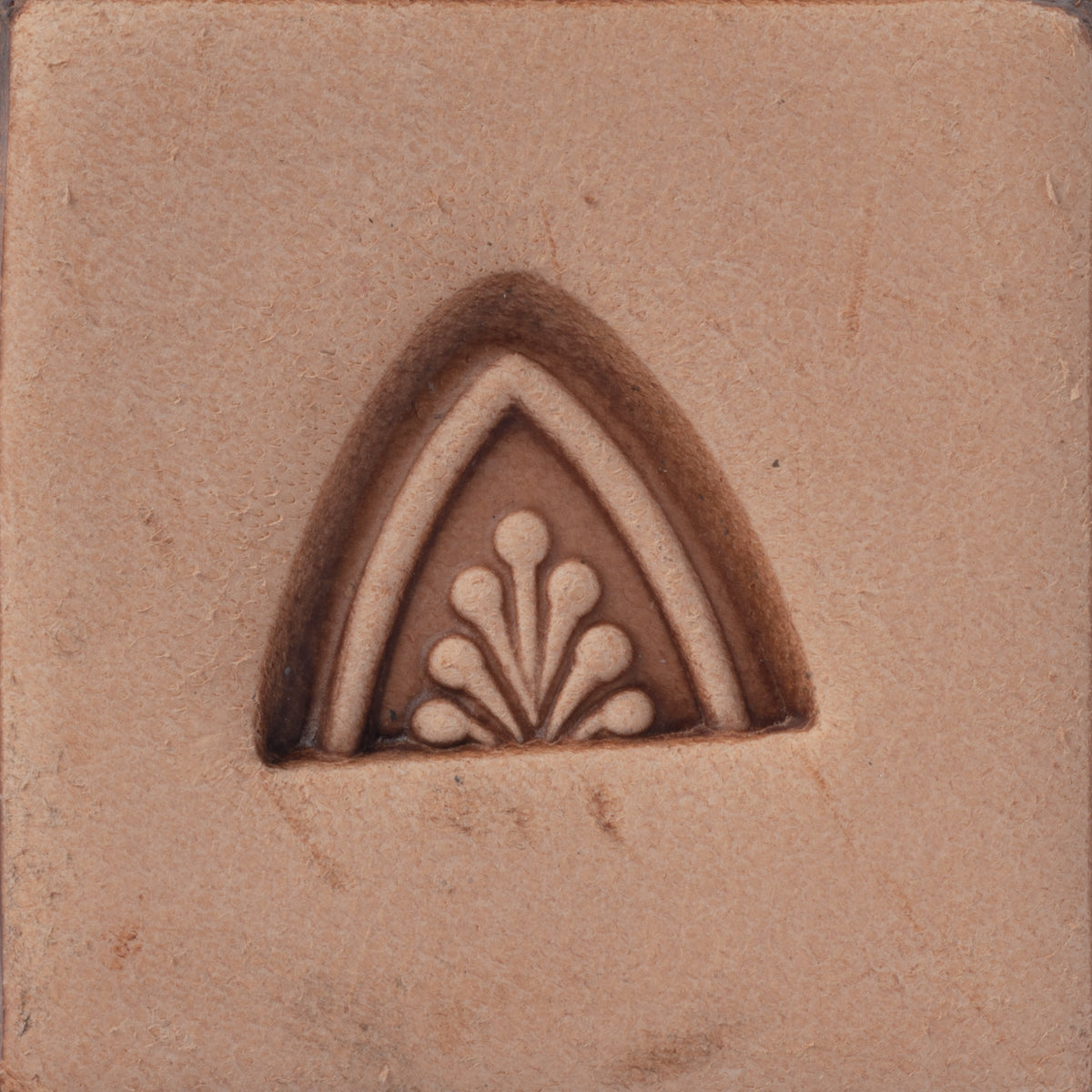 Wishbone Border Stamping Tool, D2166