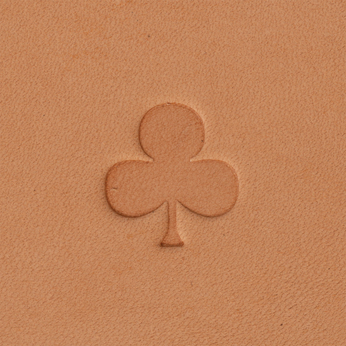 Club Mini 2D Stamping Tool