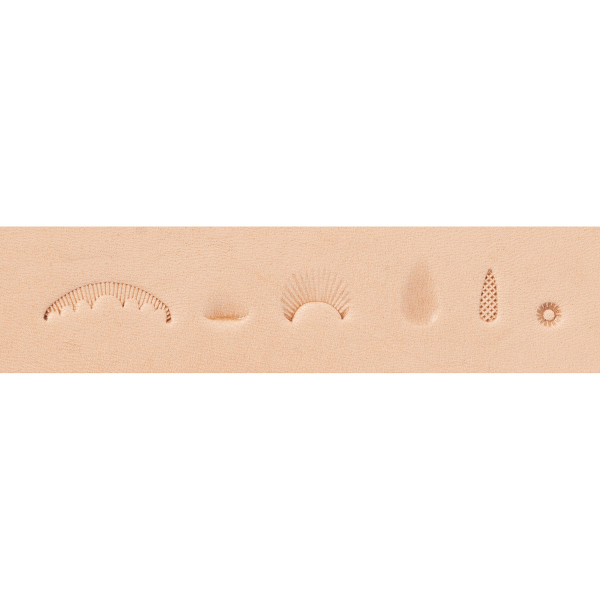 Basic Stamping Tool Set with Swivel Knife