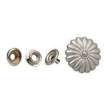 Decorative Line 24 Snap