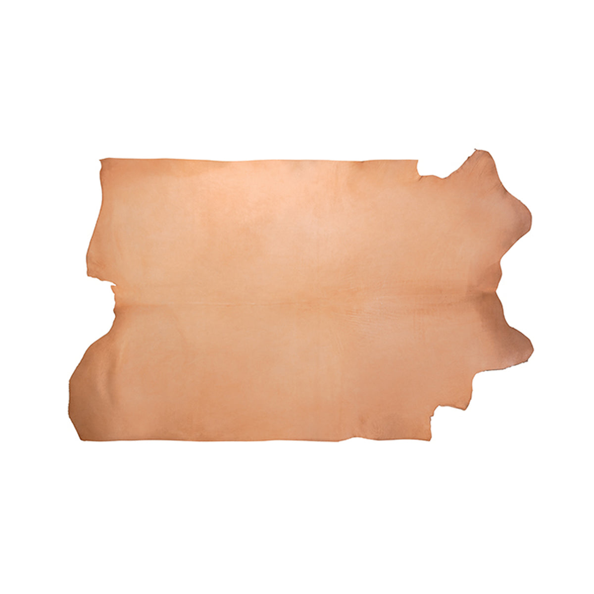 Veg Tanned Double Back with Pasted Back, 9/10 oz