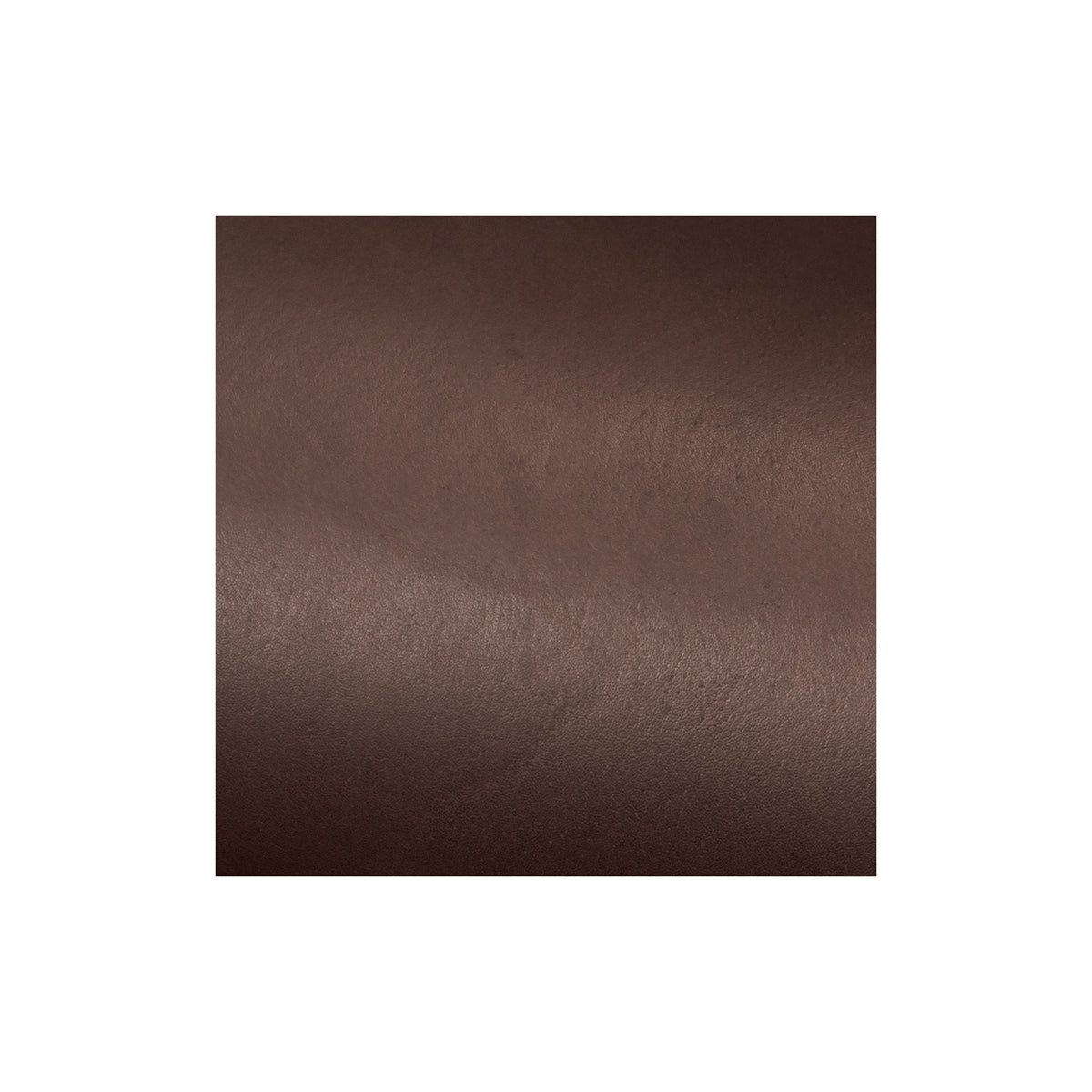 Sample, Kangaroo Leather