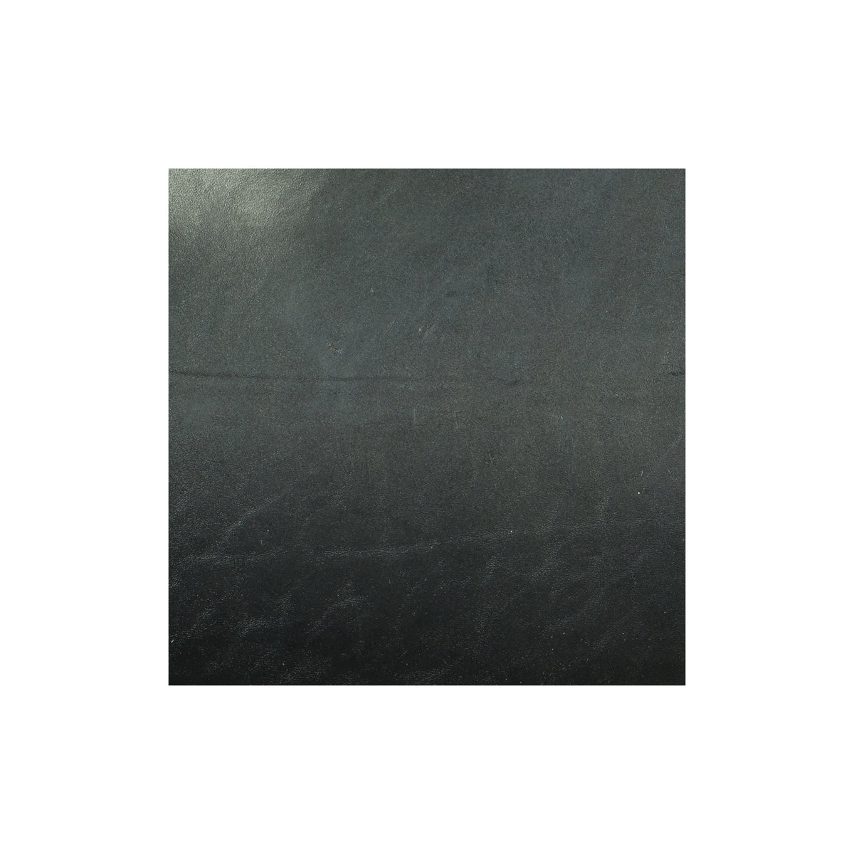 Sample, Branded Finished Double Backs