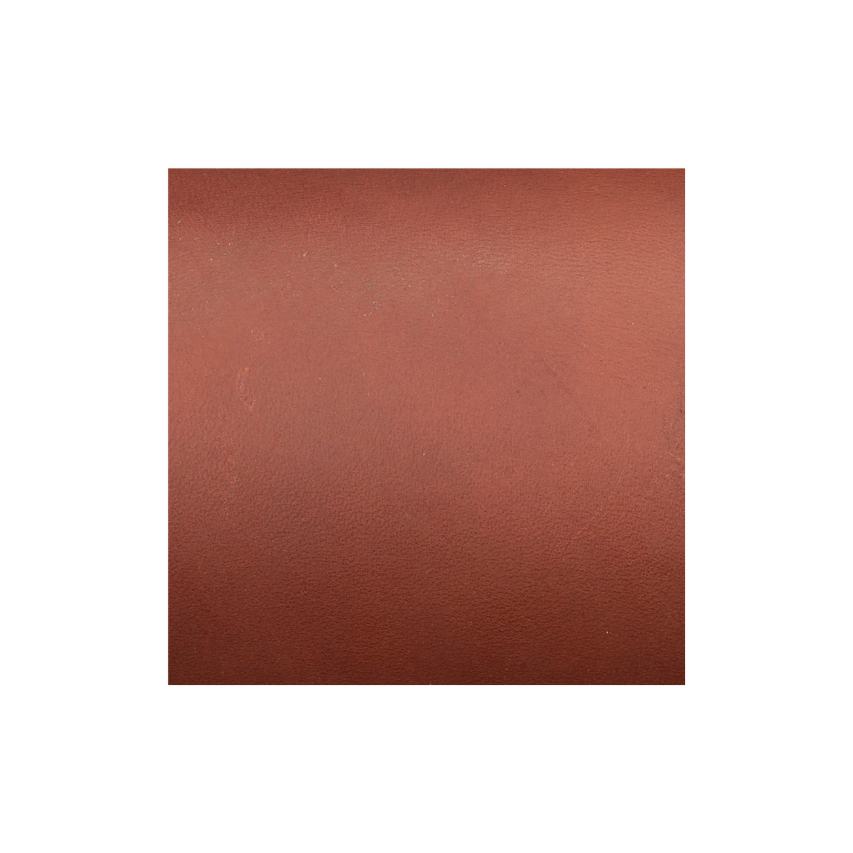 Sample, CHAHINLEATHER® English Bridle Sides