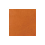 Sample, CHAHINLEATHER® Holster Leather