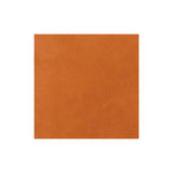 Sample, CHAHINLEATHER® Holster Leather