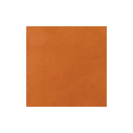 Sample, CHAHINLEATHER® Holster Leather