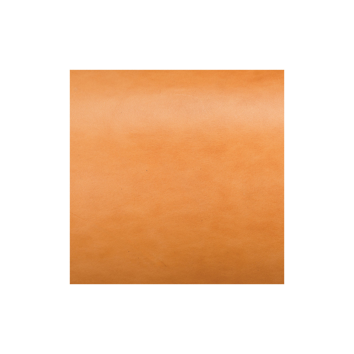 Sample, Hermann Oak® English Bridle Leather, 10 to 12 oz.