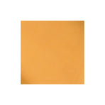 Sample, Pioneer Chrome Oil Tanned Top Grain Leather Side, 5-6 oz