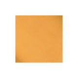 Sample, Pioneer Chrome Oil Tanned Top Grain Leather Side, 5-6 oz