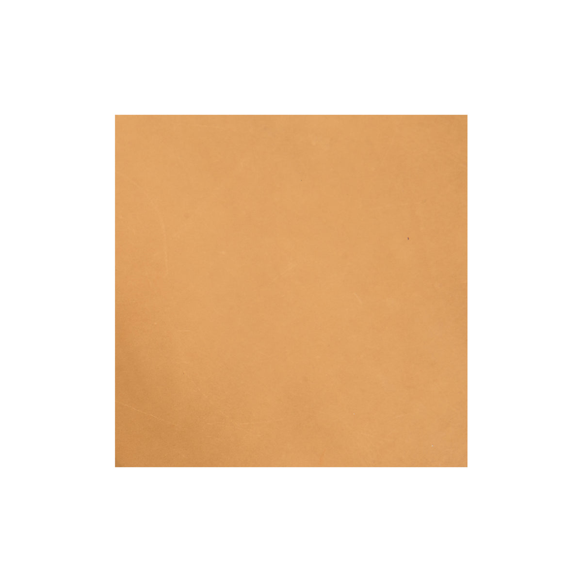 Sample, Pioneer Chrome Oil Tanned Top Grain Leather Side, 6-7 oz.