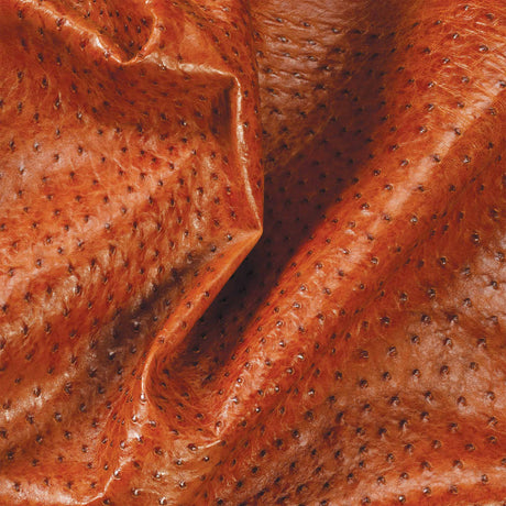 Ostrich Leather