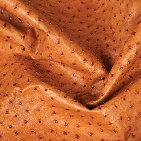 Ostrich Leather