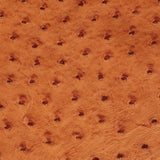 Ostrich Leather