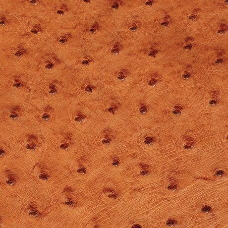 Ostrich Leather