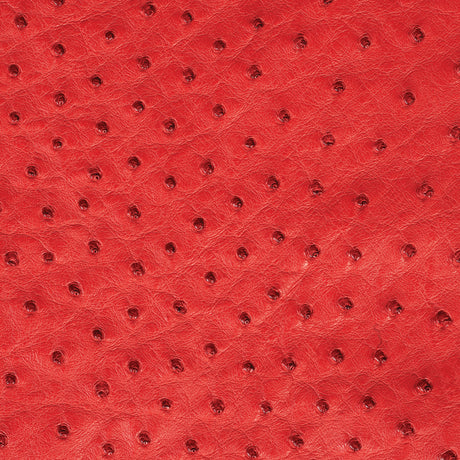 Ostrich Leather