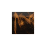 Sample, Burnt Chiptan American Bison Leather
