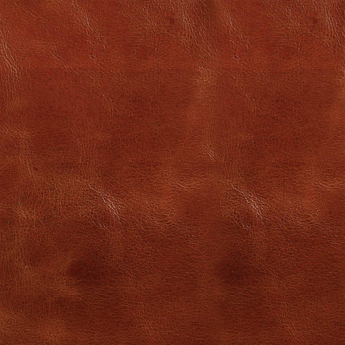 Western Crunch Water Buffalo Leather Panel