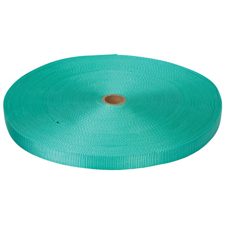 Classic Nylon Webbing, 3/4"