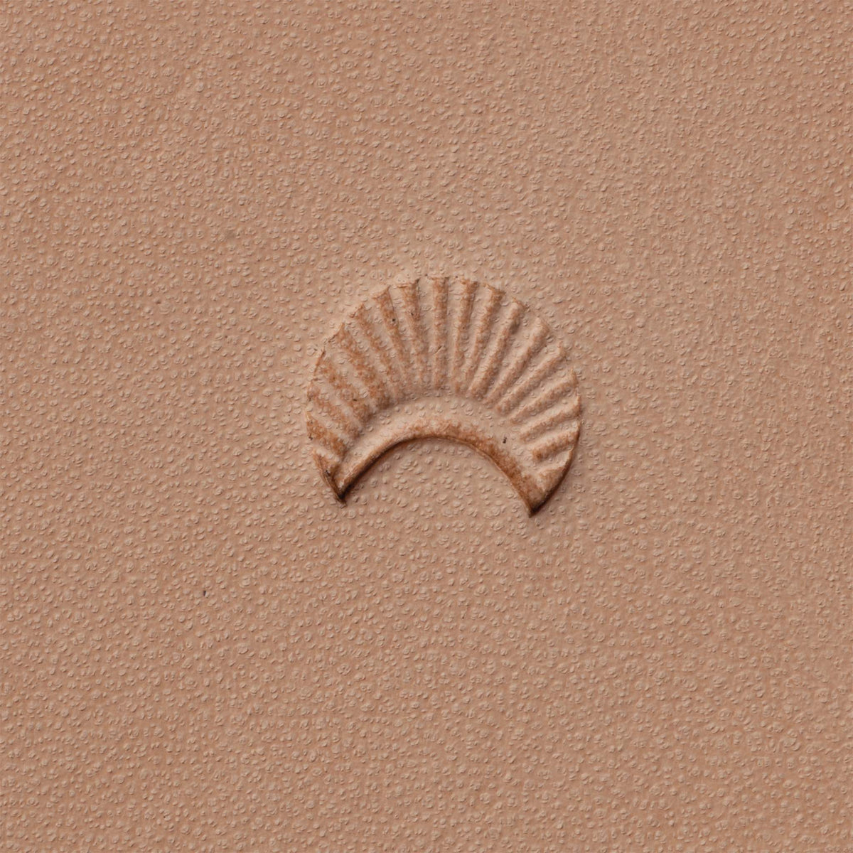 Shell Border Stamping Tool