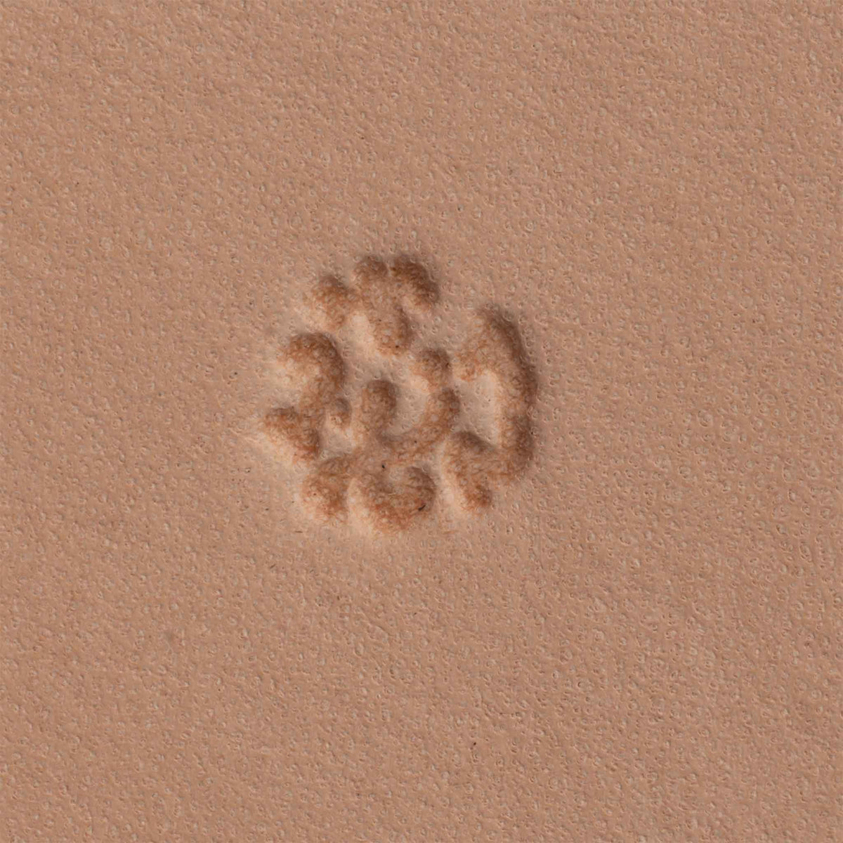 Camoflauge Background Stamping Tool