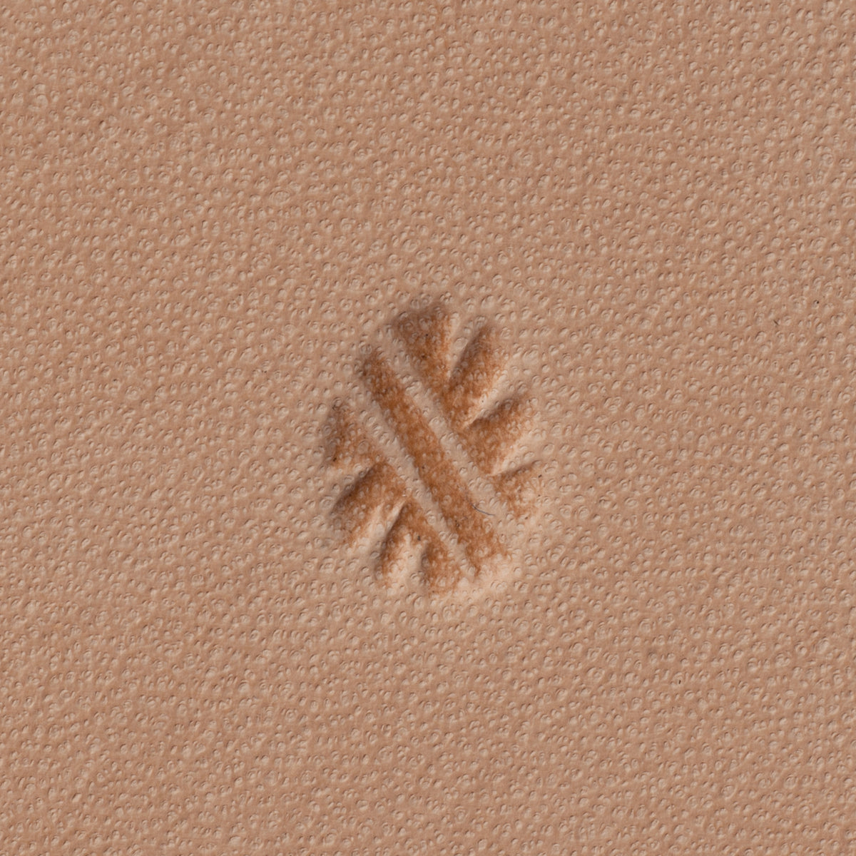 Lined Background Stamping Tool
