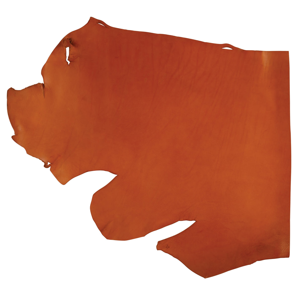 CHAHINLEATHER® English Bridle Leather, Single Shoulder, 12/13 oz.