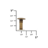 15mm Antique Brass, Single Cap Jiffy Rivets, Solid Brass-100ct