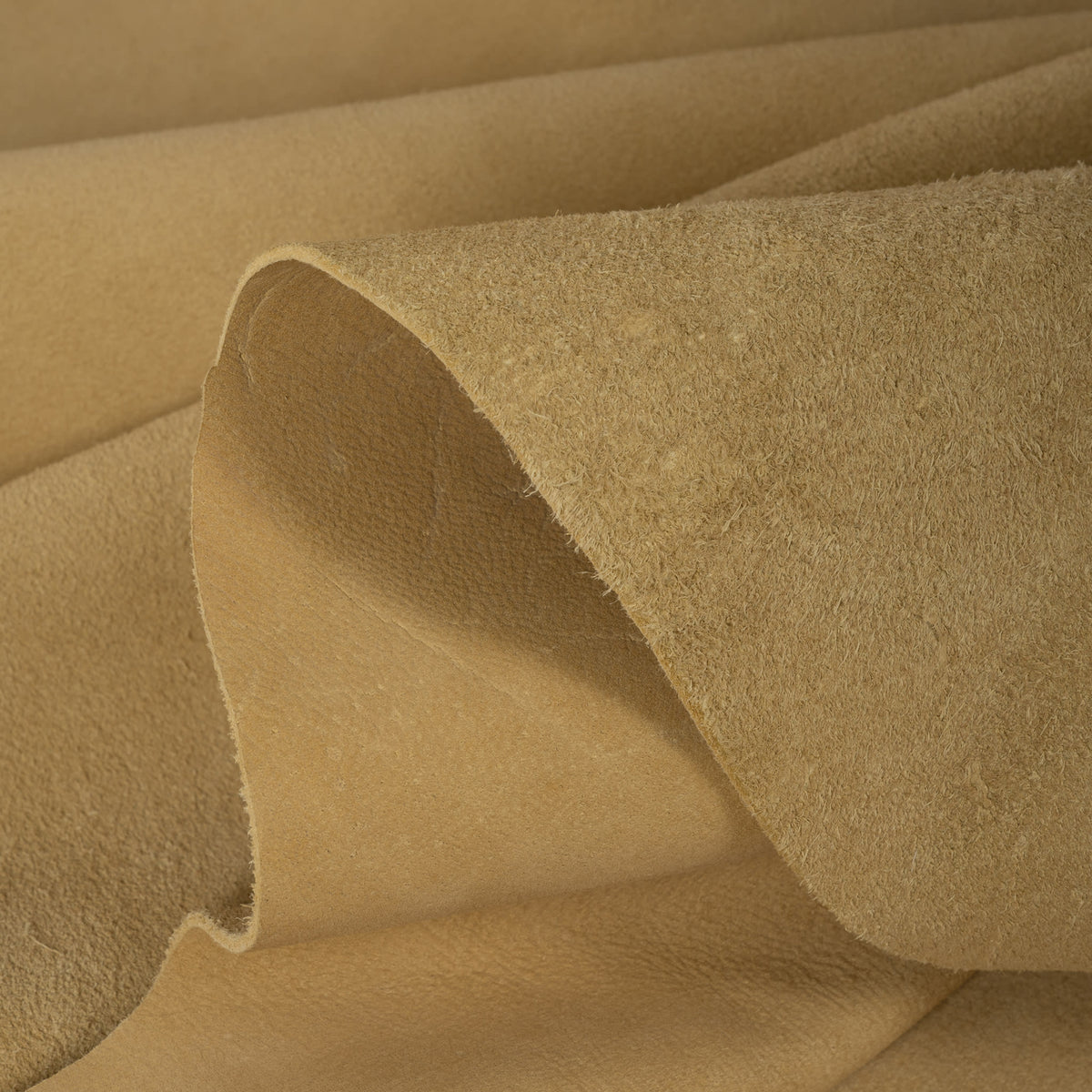 Water Buffalo Suede