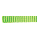 Classic Nylon Webbing, 3/4"