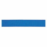 Lightweight Classic Nylon Webbing, 1"