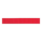 Lightweight Classic Nylon Webbing, 1"