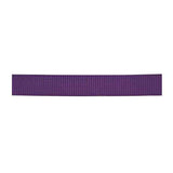 Classic Nylon Webbing, 1"