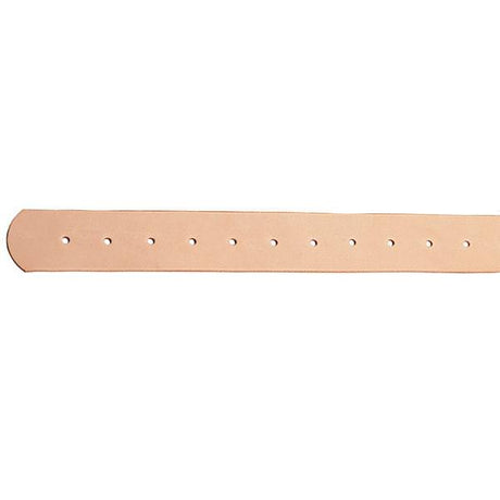 Pre-Punched Stirrup Leathers, Vertical, 3" x 5'6"