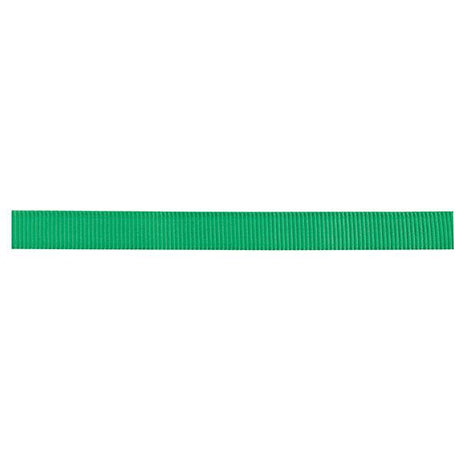 Classic Nylon Webbing, 1"