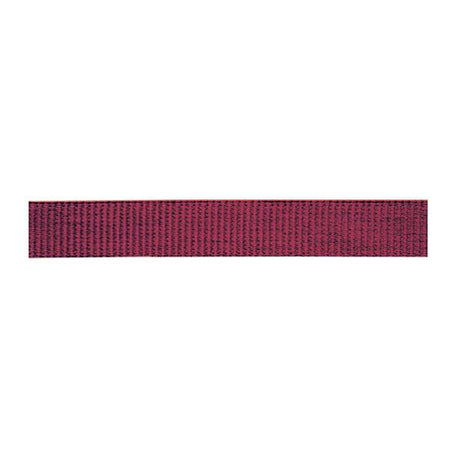 Classic Nylon Webbing, 3/4"