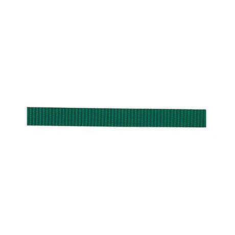 Classic Nylon Webbing, 3/4"