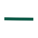 Classic Nylon Webbing, 1"
