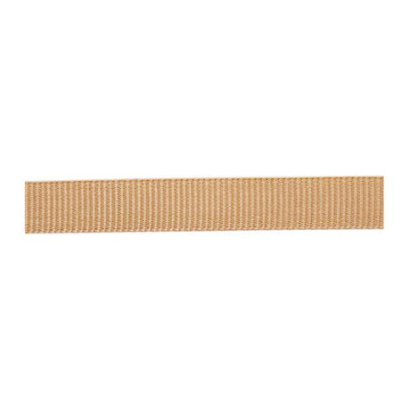 Classic Nylon Webbing, 1"