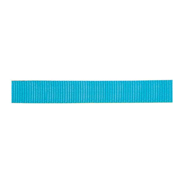 Classic Nylon Webbing, 1"