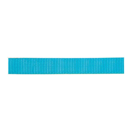 Classic Nylon Webbing, 1"
